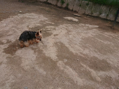 f:id:roukenhome-ann:20190429140306j:plain