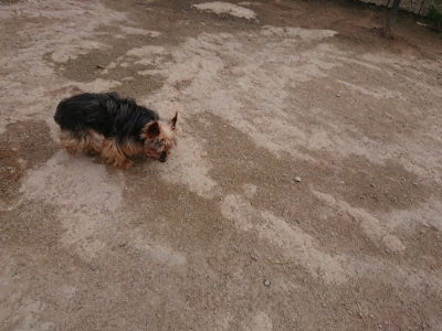 f:id:roukenhome-ann:20190429140312j:plain