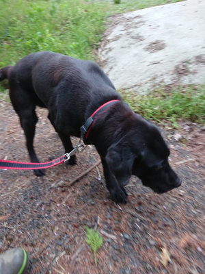 f:id:roukenhome-ann:20190429140318j:plain