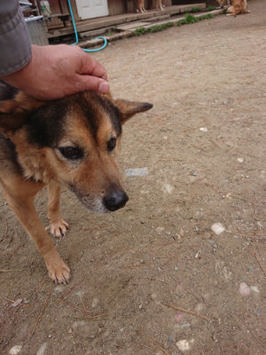 f:id:roukenhome-ann:20190429140330j:plain