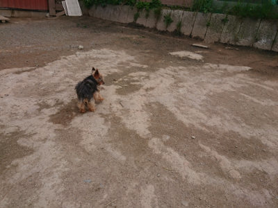 f:id:roukenhome-ann:20190429140342j:plain