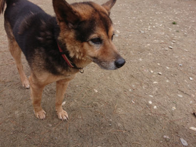 f:id:roukenhome-ann:20190429140350j:plain