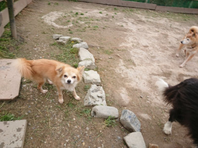 f:id:roukenhome-ann:20190429140408j:plain