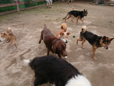 f:id:roukenhome-ann:20190429140416j:plain