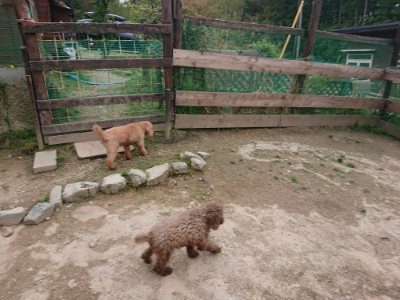 f:id:roukenhome-ann:20190429140422j:plain