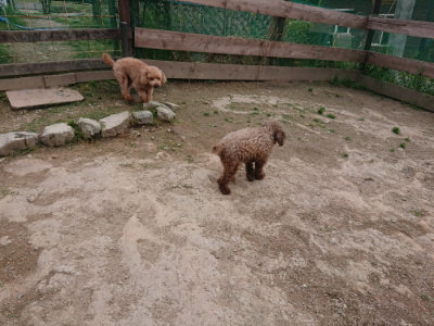 f:id:roukenhome-ann:20190429140428j:plain