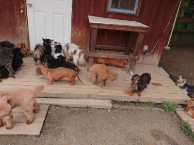 f:id:roukenhome-ann:20190429140434j:plain