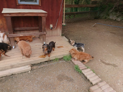 f:id:roukenhome-ann:20190429140440j:plain