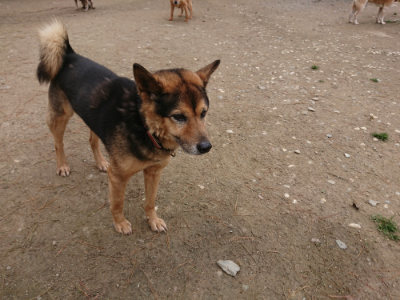 f:id:roukenhome-ann:20190429140452j:plain