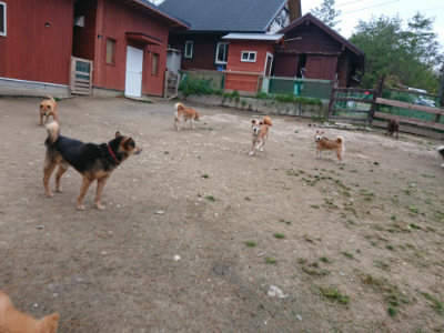 f:id:roukenhome-ann:20190429140521j:plain