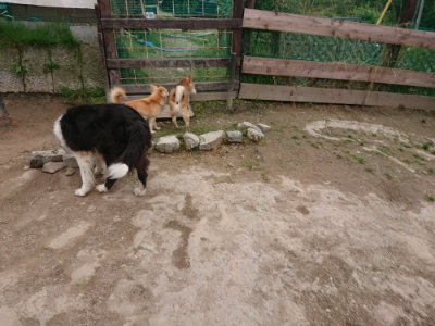 f:id:roukenhome-ann:20190429140526j:plain