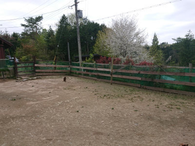 f:id:roukenhome-ann:20190429140542j:plain