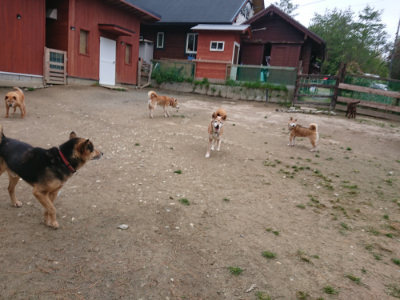 f:id:roukenhome-ann:20190429140549j:plain