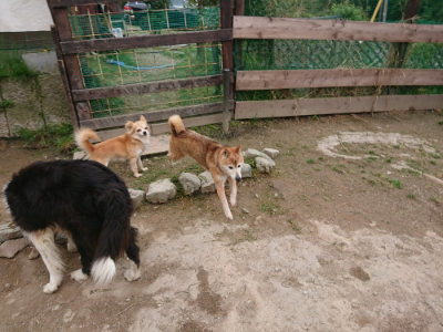 f:id:roukenhome-ann:20190429140555j:plain