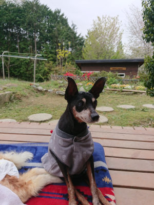 f:id:roukenhome-ann:20190429141345j:plain