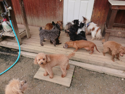 f:id:roukenhome-ann:20190429141405j:plain