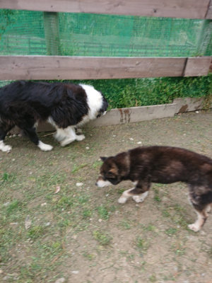 f:id:roukenhome-ann:20190429141446j:plain