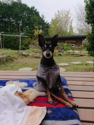 f:id:roukenhome-ann:20190429141518j:plain