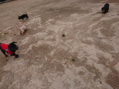 f:id:roukenhome-ann:20190429141523j:plain