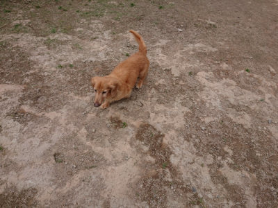 f:id:roukenhome-ann:20190429141530j:plain