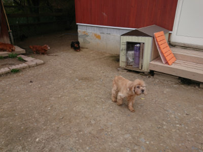 f:id:roukenhome-ann:20190429141545j:plain