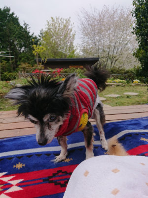 f:id:roukenhome-ann:20190429141551j:plain