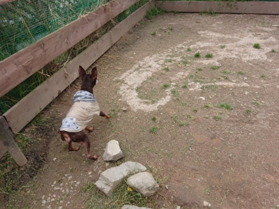 f:id:roukenhome-ann:20190429141607j:plain