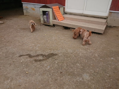 f:id:roukenhome-ann:20190429141617j:plain