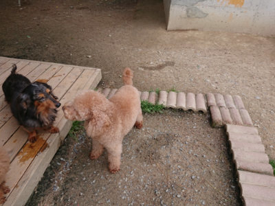 f:id:roukenhome-ann:20190429142005j:plain