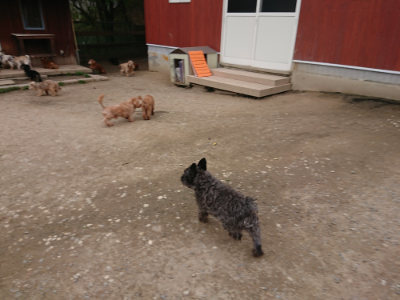 f:id:roukenhome-ann:20190429142030j:plain