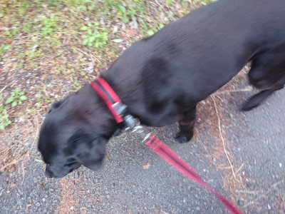 f:id:roukenhome-ann:20190429142039j:plain