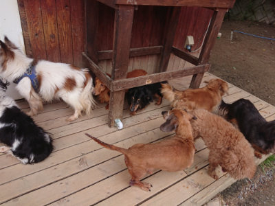 f:id:roukenhome-ann:20190429142102j:plain