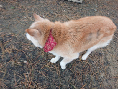 f:id:roukenhome-ann:20190429142115j:plain