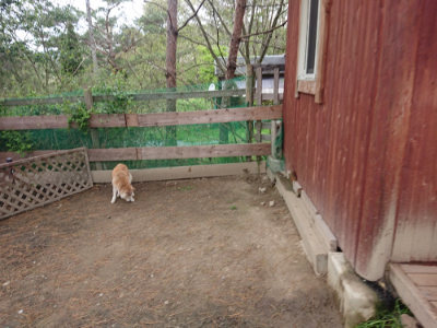 f:id:roukenhome-ann:20190429142130j:plain