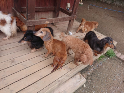 f:id:roukenhome-ann:20190429142135j:plain