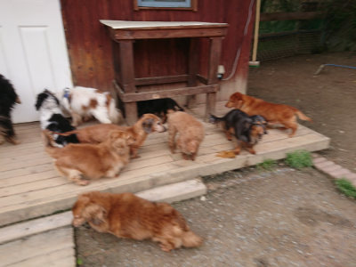 f:id:roukenhome-ann:20190429142206j:plain