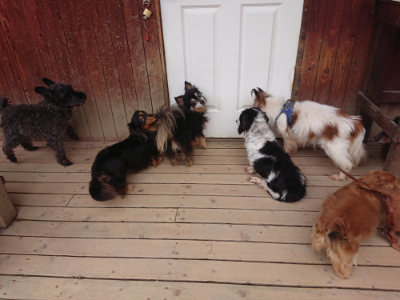 f:id:roukenhome-ann:20190429142244j:plain