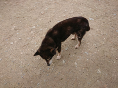 f:id:roukenhome-ann:20190429142302j:plain