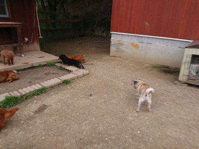 f:id:roukenhome-ann:20190429142307j:plain