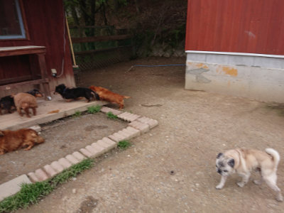 f:id:roukenhome-ann:20190429142311j:plain