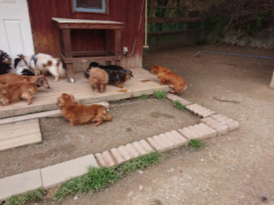 f:id:roukenhome-ann:20190429142337j:plain