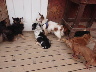 f:id:roukenhome-ann:20190429142342j:plain