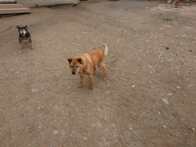 f:id:roukenhome-ann:20190429142356j:plain