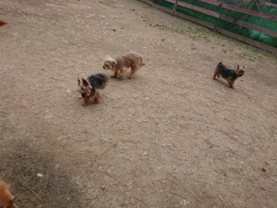 f:id:roukenhome-ann:20190429142405j:plain