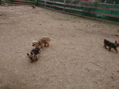 f:id:roukenhome-ann:20190429142410j:plain