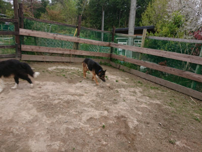 f:id:roukenhome-ann:20190429142427j:plain