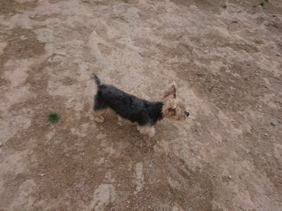 f:id:roukenhome-ann:20190429142433j:plain