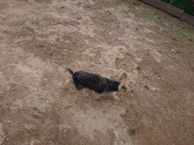 f:id:roukenhome-ann:20190429142438j:plain