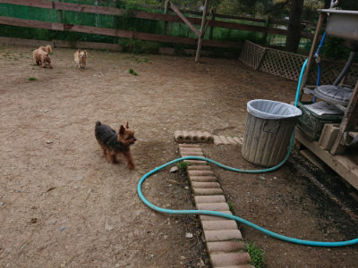 f:id:roukenhome-ann:20190429142443j:plain