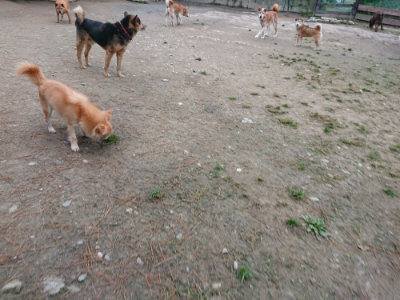 f:id:roukenhome-ann:20190429142449j:plain